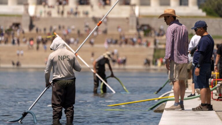 Trump claims vandals damaged D.C. Reflecting Pool, and says it will be drained again : NPR
