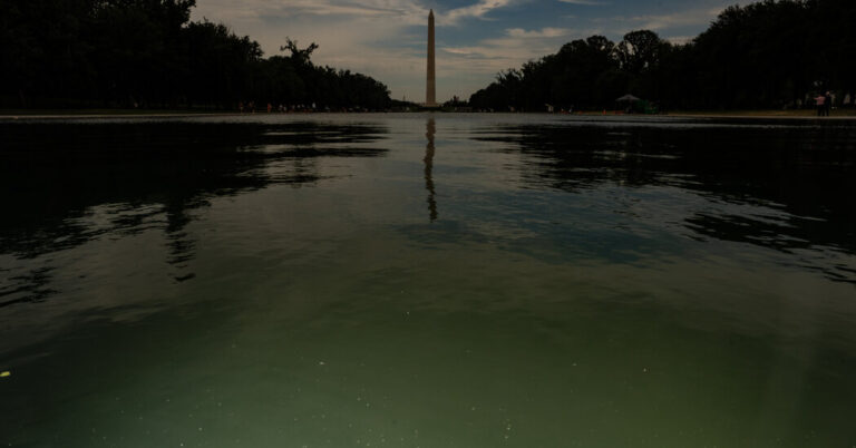 E Pluribus Algae: Why Green Pond Scum Is as American as Red, White and Blue