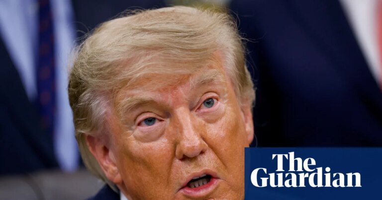 Trump facing AI backlash in Congress as push for guardrails intensifies | AI (artificial intelligence)